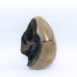 Septarian Dragon Egg
