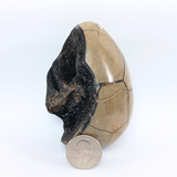Septarian Dragon Egg