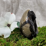 Septarian Dragon Egg