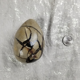 Septarian Dragon Egg