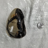Septarian Dragon Egg