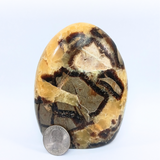 Septarian Free Form Standing Piece