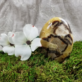 Septarian Free Form Standing Piece